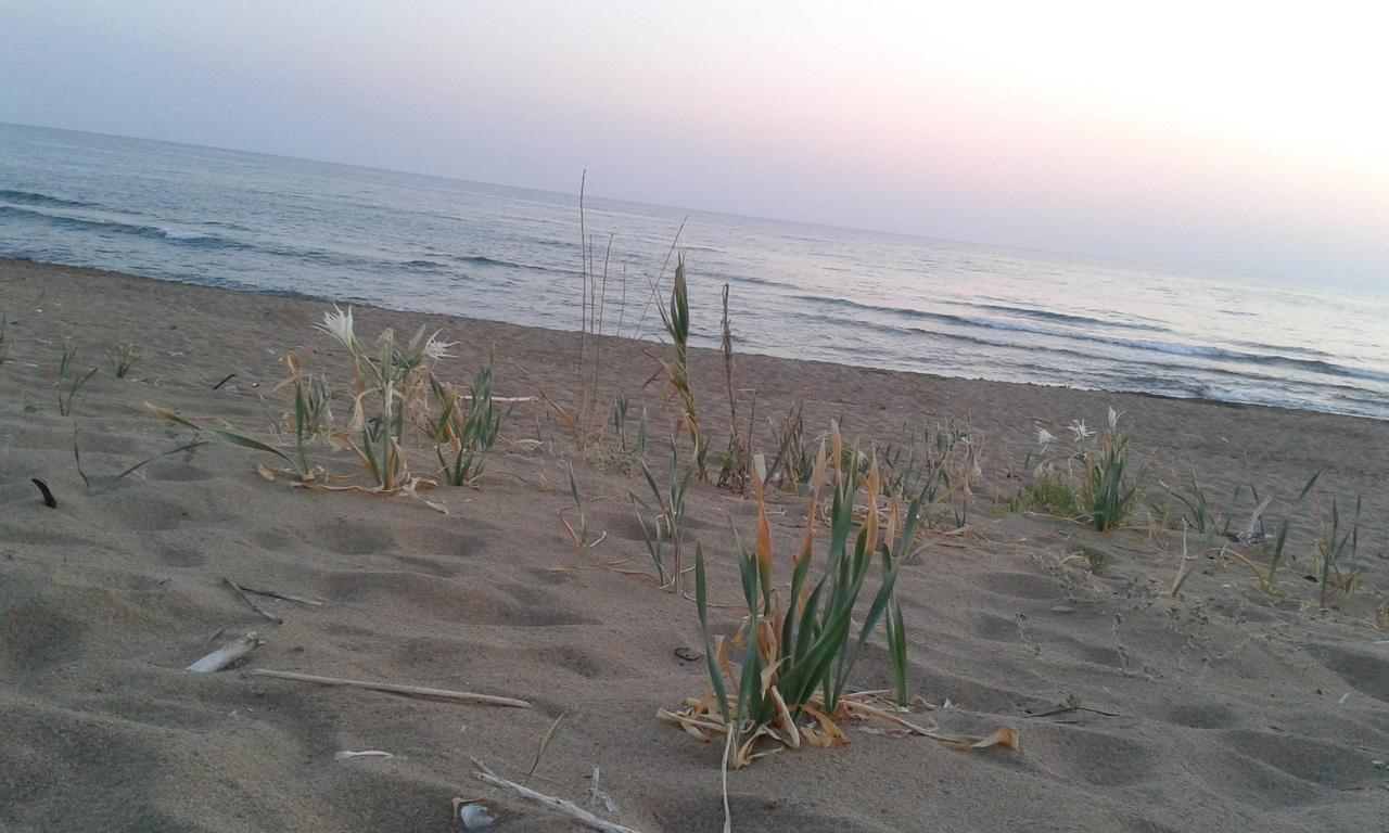Ionion Star Hotel Tholon Dış mekan fotoğraf