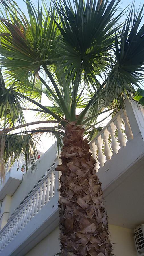 Ionion Star Hotel Tholon Dış mekan fotoğraf