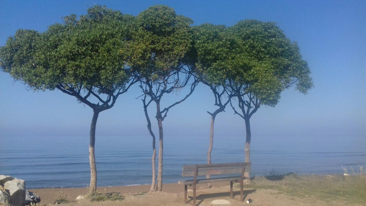 Ionion Star Hotel Tholon Dış mekan fotoğraf